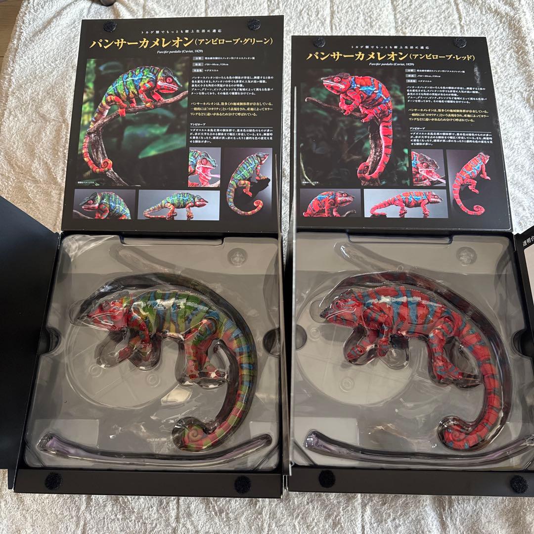 いきもの大図鑑プレミアム パンサーカメレオン グリーン レッド - メルカリ