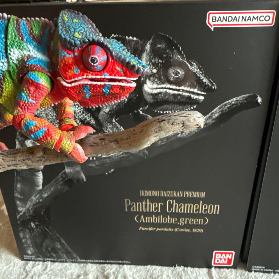 いきもの大図鑑プレミアム パンサーカメレオン グリーン レッド - メルカリ