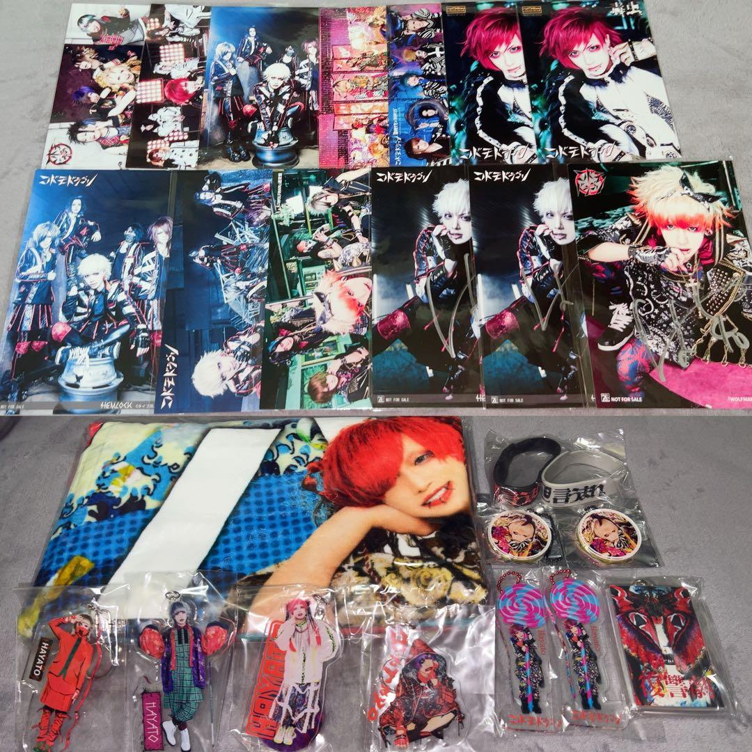 コドモドラゴン ハヤト セット NEWS｜コドモドラゴン Official web site