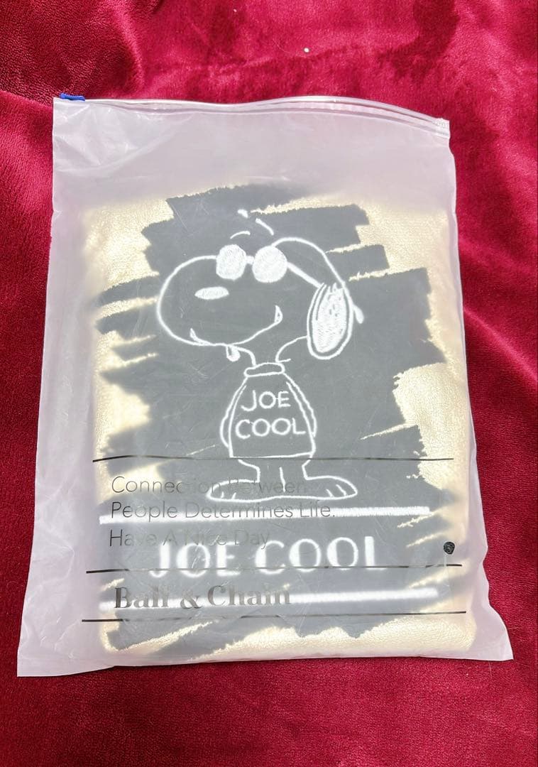 【正規品】⭐︎名古屋限定⭐︎ボールアンドチェーン スヌーピー　サイズM ゴールド