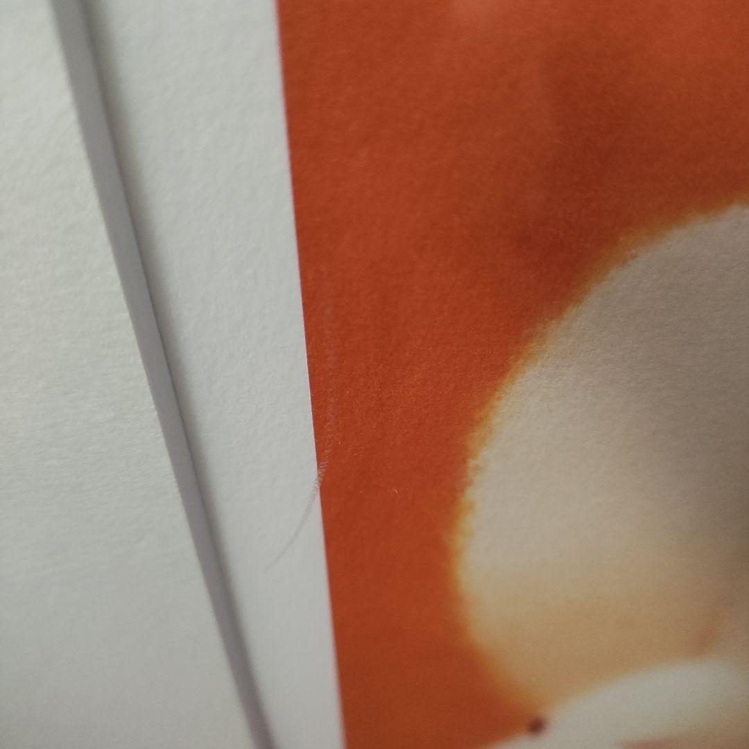 渡辺宏 版画 2枚組 ふかふかな風、いつもいっしょ - メルカリ