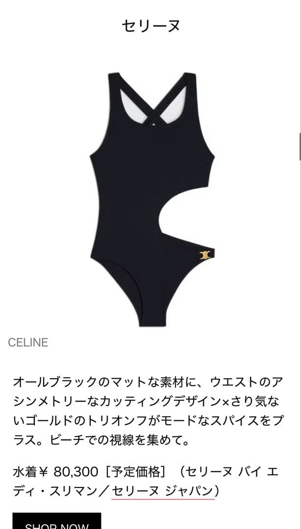 【新品未使用】CELINE トリオンフ　スイムウェア　水着 CELINE（セリーヌ） スイムウェア 2X33M152C.38NO レディース Triomphe