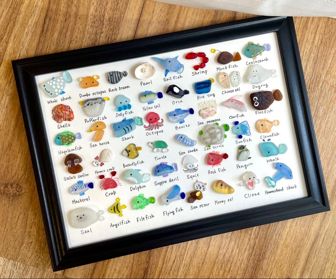 48種の海の生き物⭐︎大図鑑　ギフト　プレゼント　ジンベイザメ　シャチ　くじら