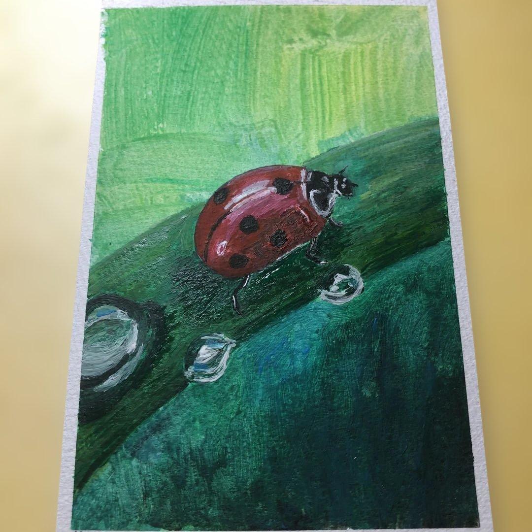 朝露とてんとう虫 水彩画 絵手紙 原画 - メルカリ