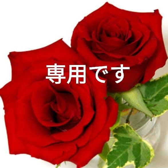 kaoriさま専用【極美品　高級感漂う美しい本革】長財布　黒　バイソン刻印 sankyo shokai（三京商会） 長財布 メンズ 本革 パイソン 薄い かぶせ