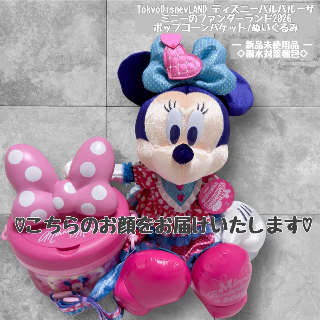 週末限定！ディズニー パルパルーザ ミニー ポップコーンバケット　ぬいぐるみ
