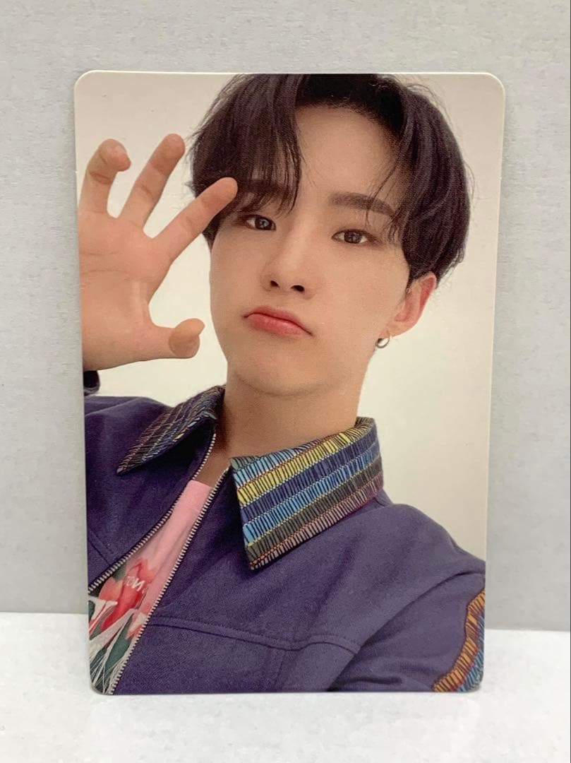 SEVENTEEN セブチ ひとりじゃない 初回D ホシ トレカ - メルカリ