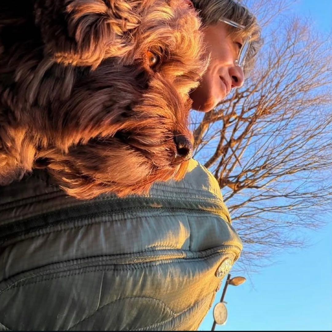 M-65 Quilted Liner Body Bag キムタク 新品