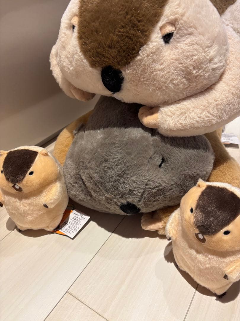 Dｒ.マーモットまもちおもプクのぺたーん＆マモ相撲ぬいぐるみ&絶叫ギミックセット Dr.マーモット まもちおもプクのぺたーん＆マモ相撲ぬいぐるみ 4種