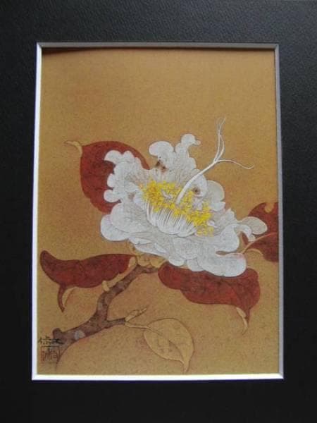 大野　俶嵩、椿素花、希少な画集より、新品高級額装付、版上サイン入り