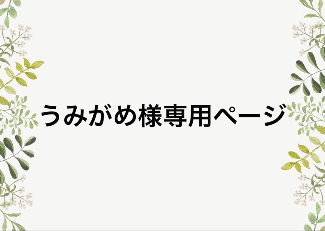 うみがめページ