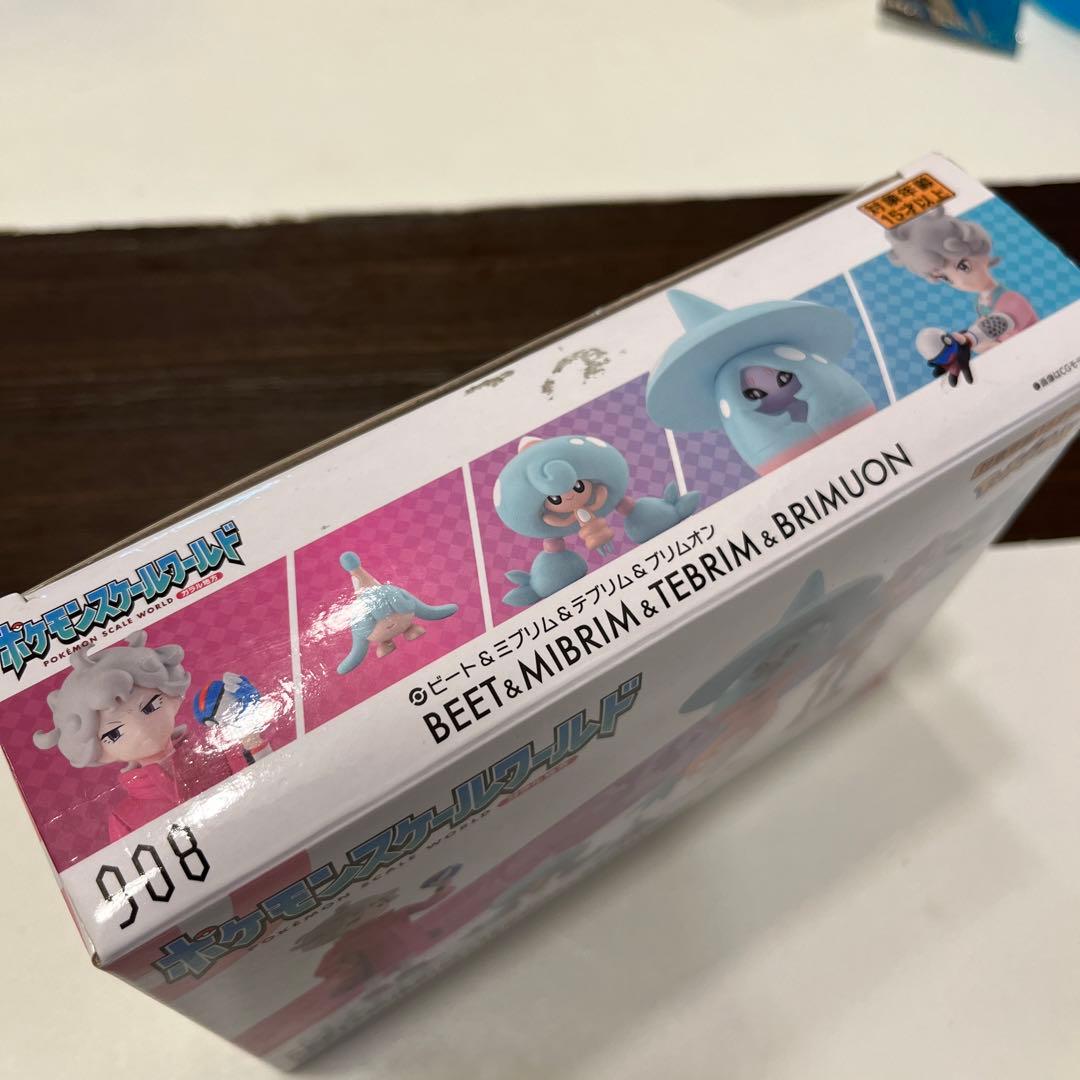 ポケモンスケールワールド ガラル地方 ビート&ミブリム&テブリム