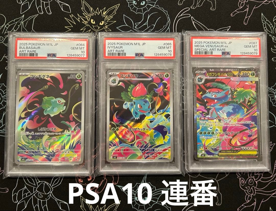 PSA10 連番 フシギダネ　メガフシギバナ　フシギソウar sar