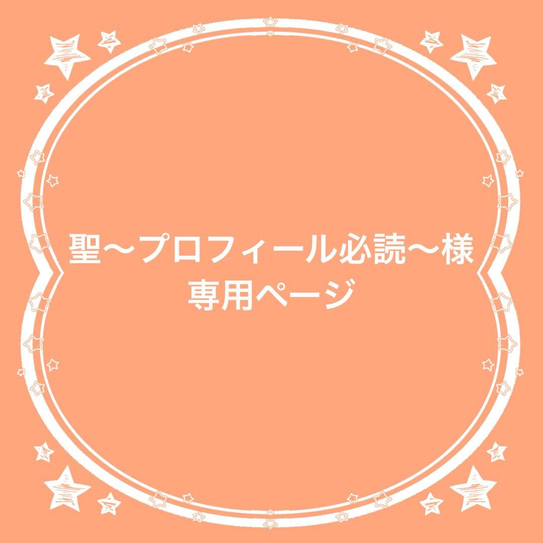 ネイルパーツ☆ 聖〜プロフィール必読〜様
