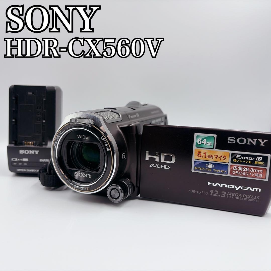 SONY ソニー HDR-CX560V ムービー ビデオカメラ Amazon.com : Sony HDR-CX560V High Definition Handycam Camcorder