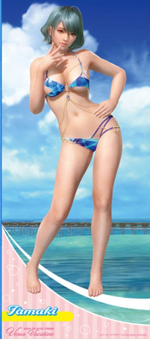 DEAD OR ALIVE ロングタオル -たまき-　公式ショップ購入　ブイブイ