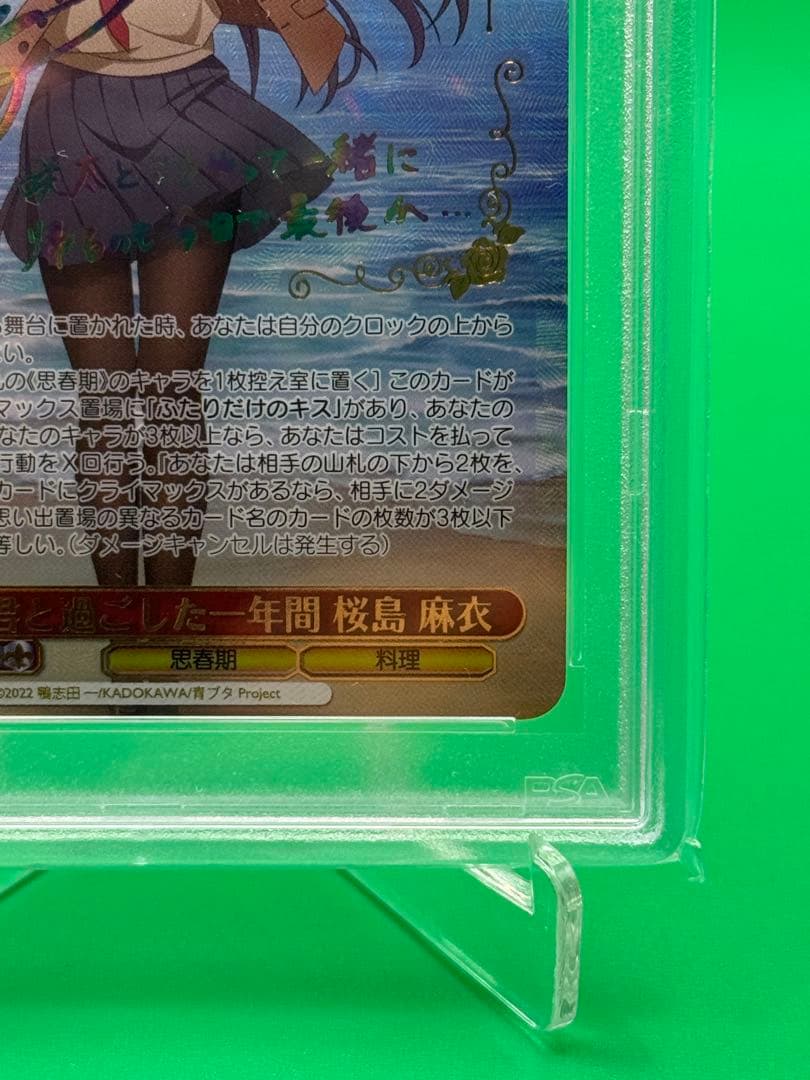 sakuta　君と過ごした一年間　桜島 麻衣