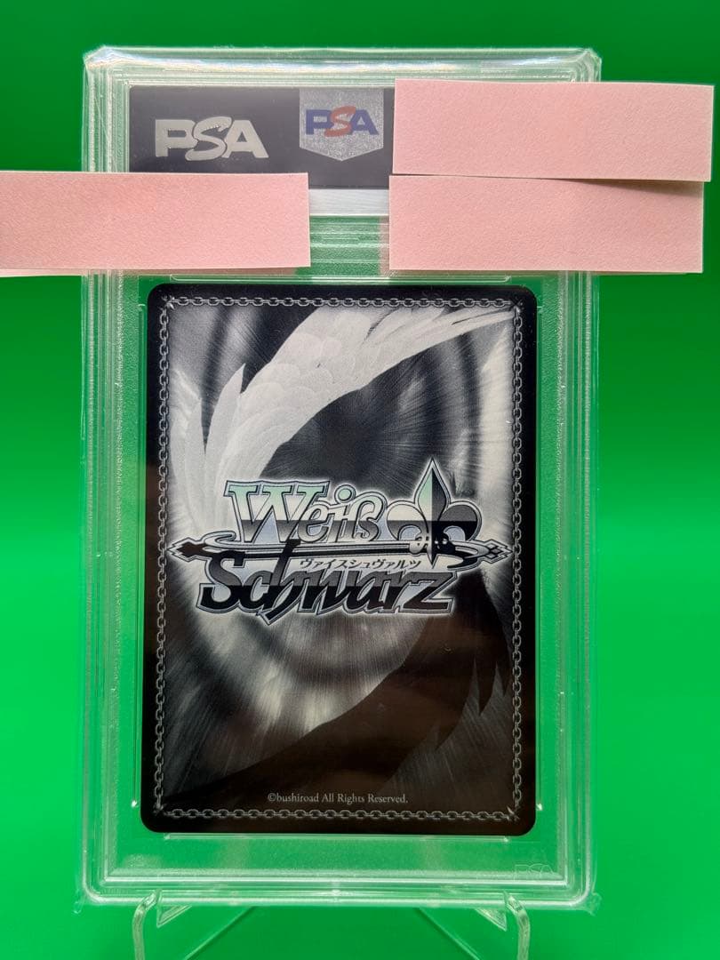 sakuta　君と過ごした一年間　桜島 麻衣