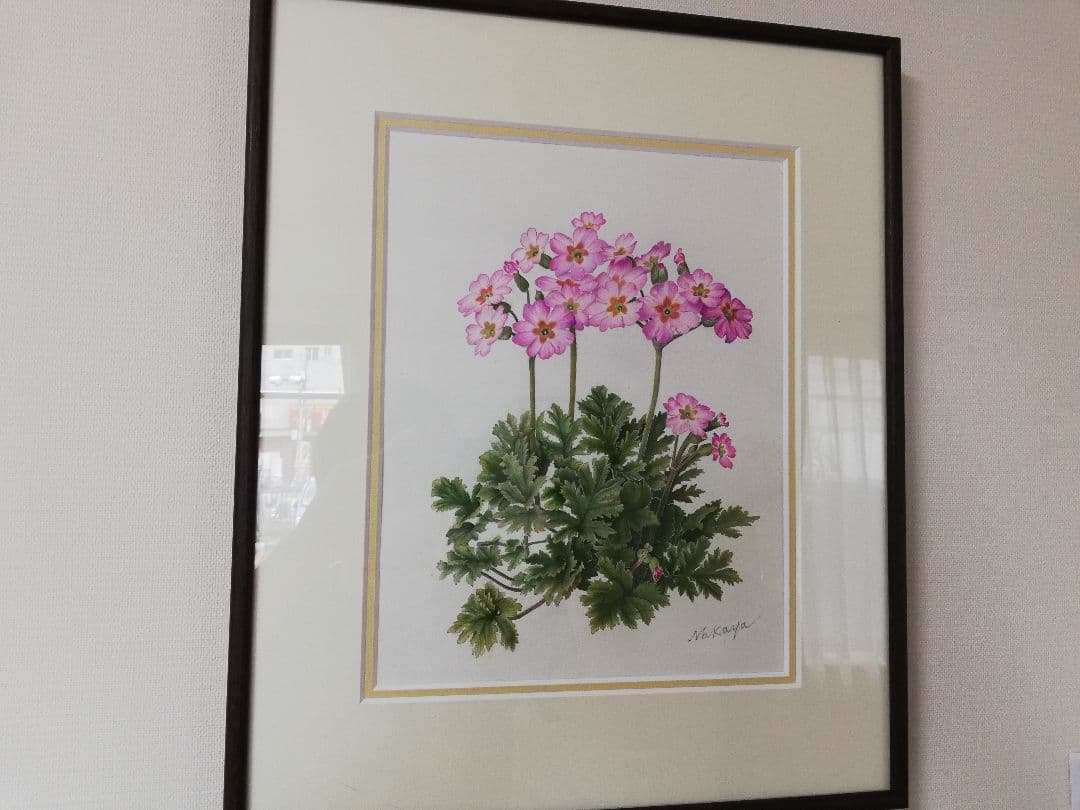 水彩絵画『サクラソウ』中谷道江作