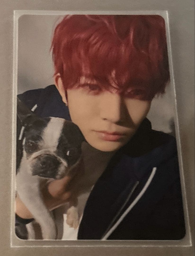 ENHYPENヒスンアンケートトレカ