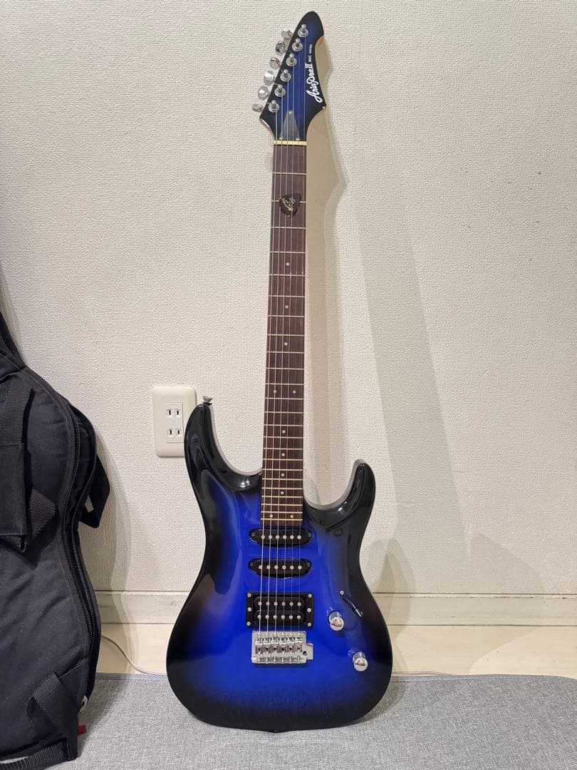 エレキギター　ギターバックセット