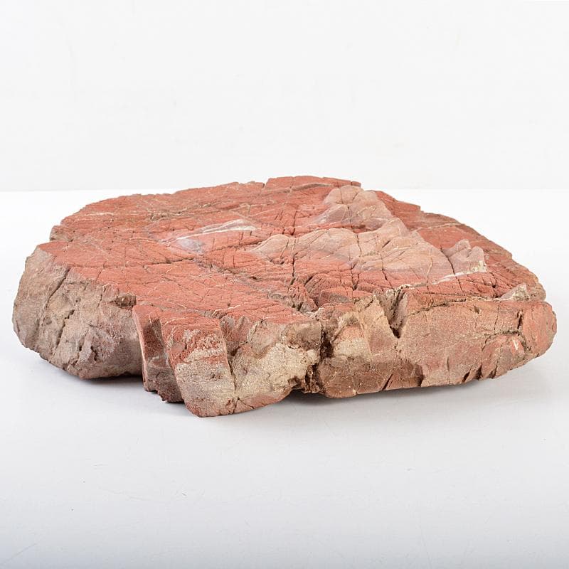 鑑賞石 天然石 紅石 赤玉石 唐木台付 黄檗山主慈光通照箱書 M R5564