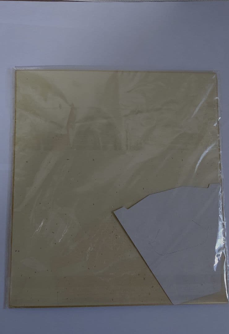 高橋由伸 読売ジャイアンツ 巨人軍選手サイン色紙 日本テレビ 愛は地球