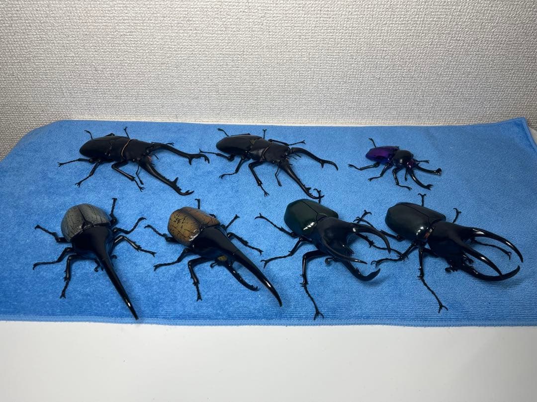 いきもの大図鑑 アドバンス ヘラクレス フィギュア　後翅