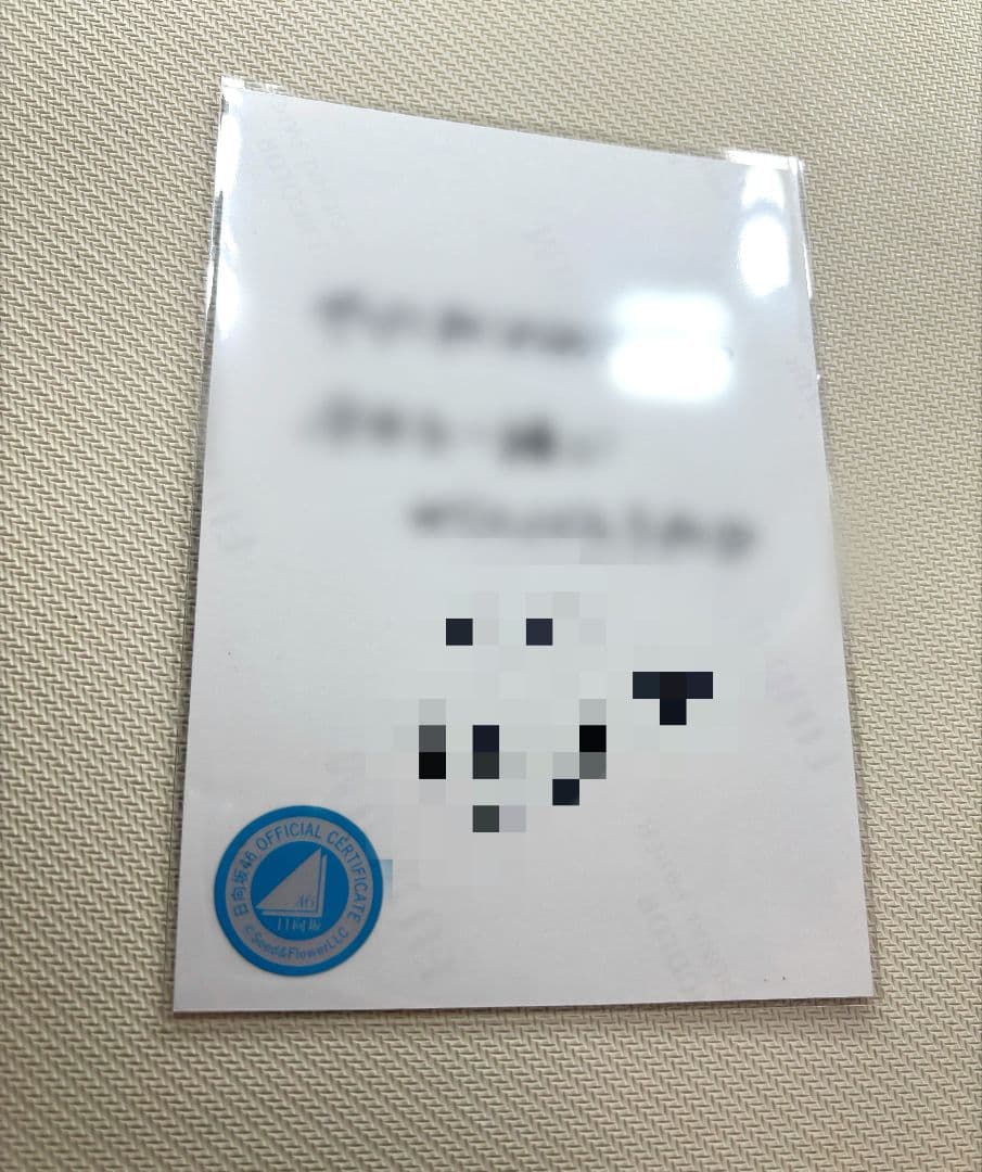 日向坂46 片山紗希 サンタ衣装 ヨリ 生写真 直筆サイン - メルカリ