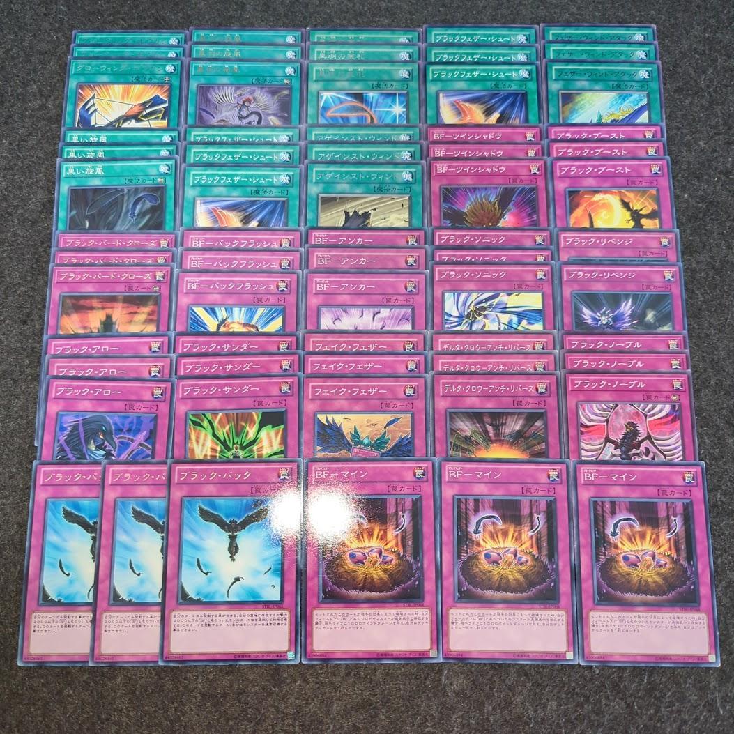 BF ブラックフェザー 遊戯王 デッキパーツ 環境 大会 新規 構築 1103