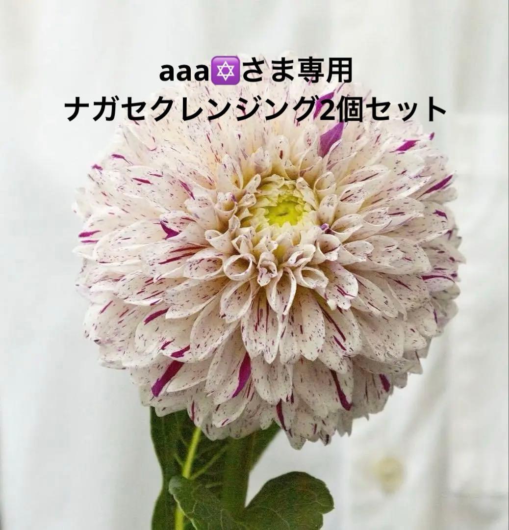 aaa✡さま専用　クレンジング2個