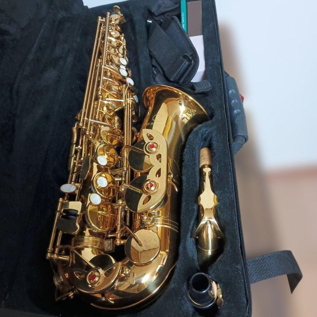 【美品】SELVA アルトサックス　初心者　SAS-100K サクソフォーン