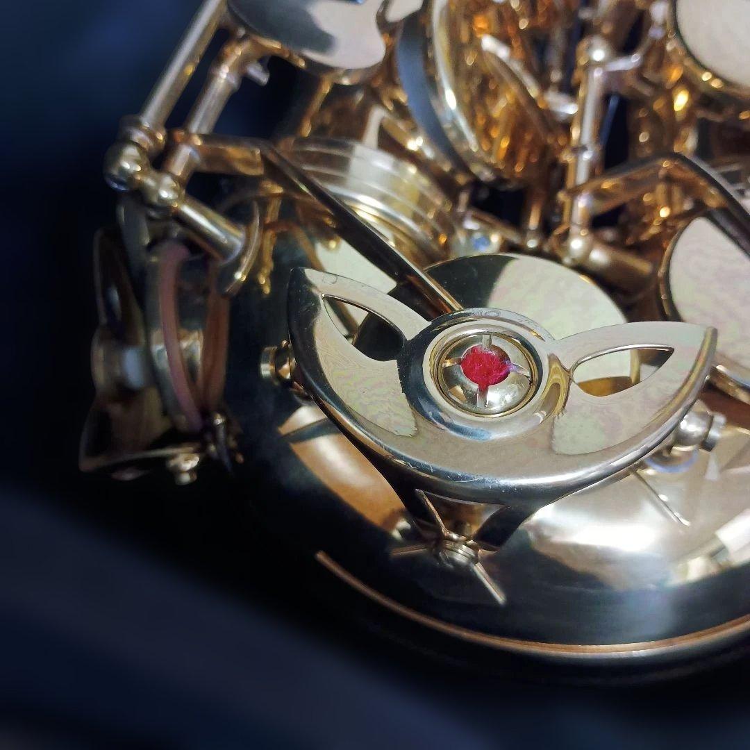 美品】SELVA アルトサックス 初心者 SAS-100K サクソフォーン - メルカリ