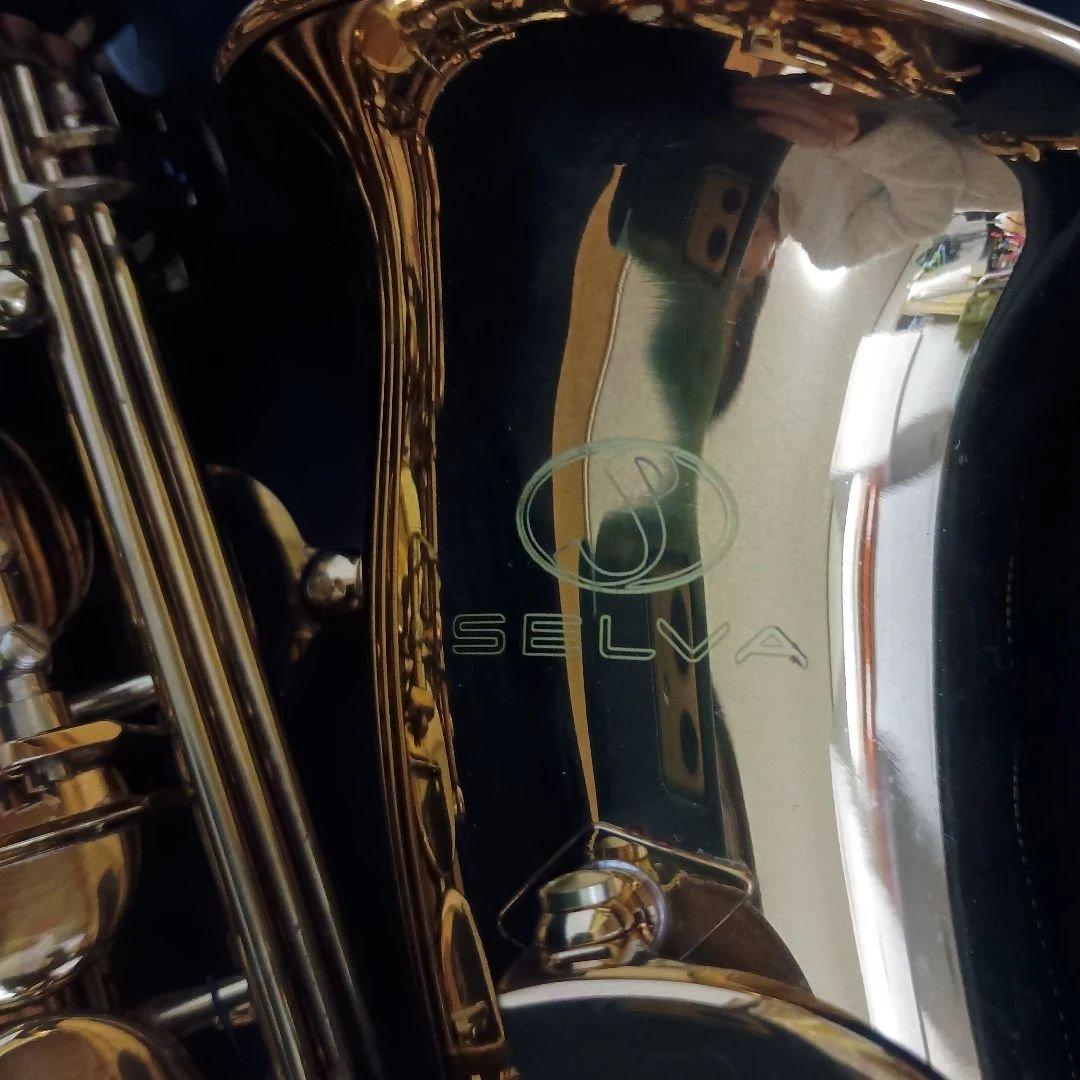 美品】SELVA アルトサックス 初心者 SAS-100K サクソフォーン - メルカリ