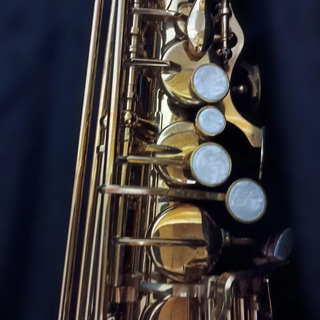 美品】SELVA アルトサックス 初心者 SAS-100K サクソフォーン - メルカリ