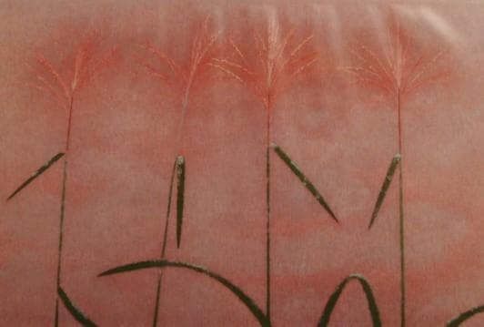 徳岡 神泉、薄、大判、額装用・画版、日本製・新品額 額装付、状態良好