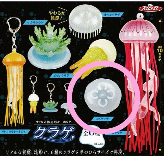 ☆ ミズクラゲ ☆ リアル立体造形 キーホルダー クラゲ くらげ - メルカリ