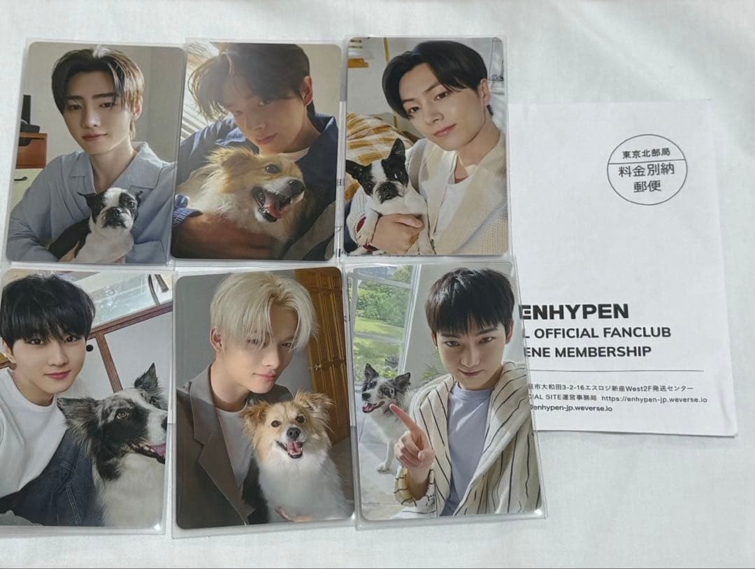 ENHYPEN FC アンケート特典 トレカ 2025 6人セット