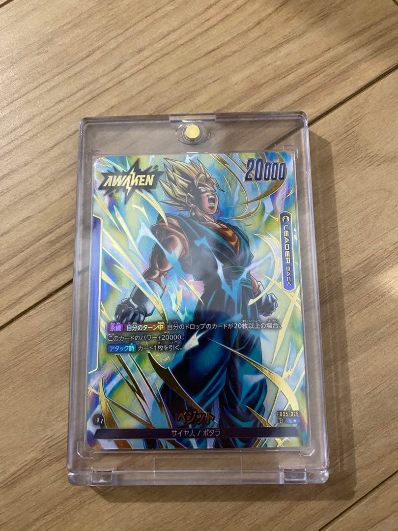 リーダーパラレルベジット