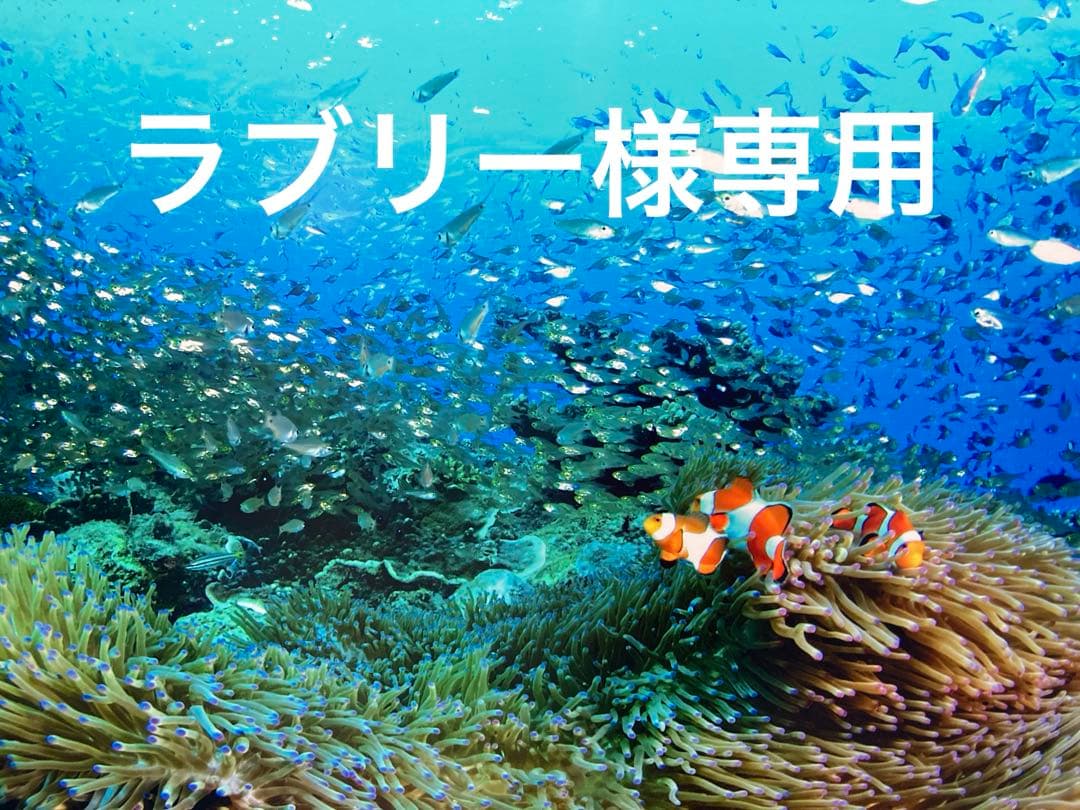 エンビロンモイスチャージェル2を2本 とモイスチャークリーム4