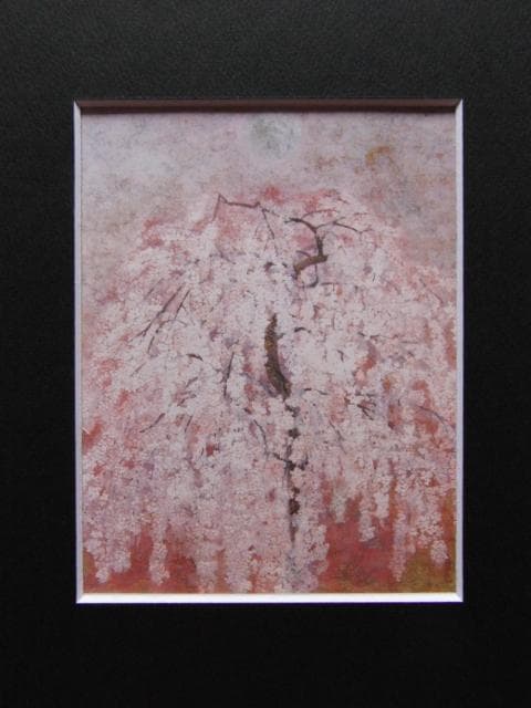 藤原郁子、【櫻】、希少な額装用画集より、美品、新品額装付、インテリア