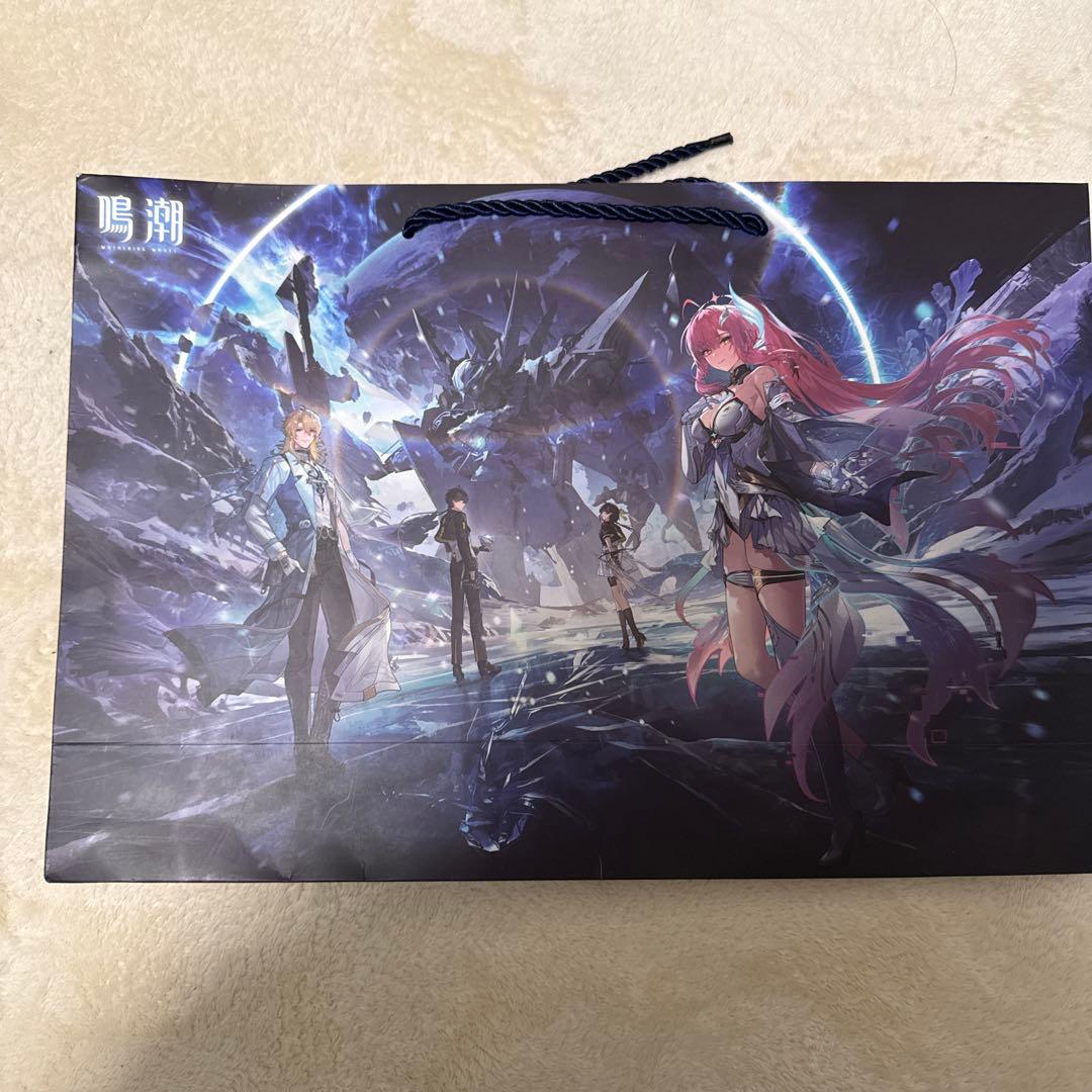 鳴潮 スペシャルライブ 参加特典 ショッパー エイメス リューク 折ら