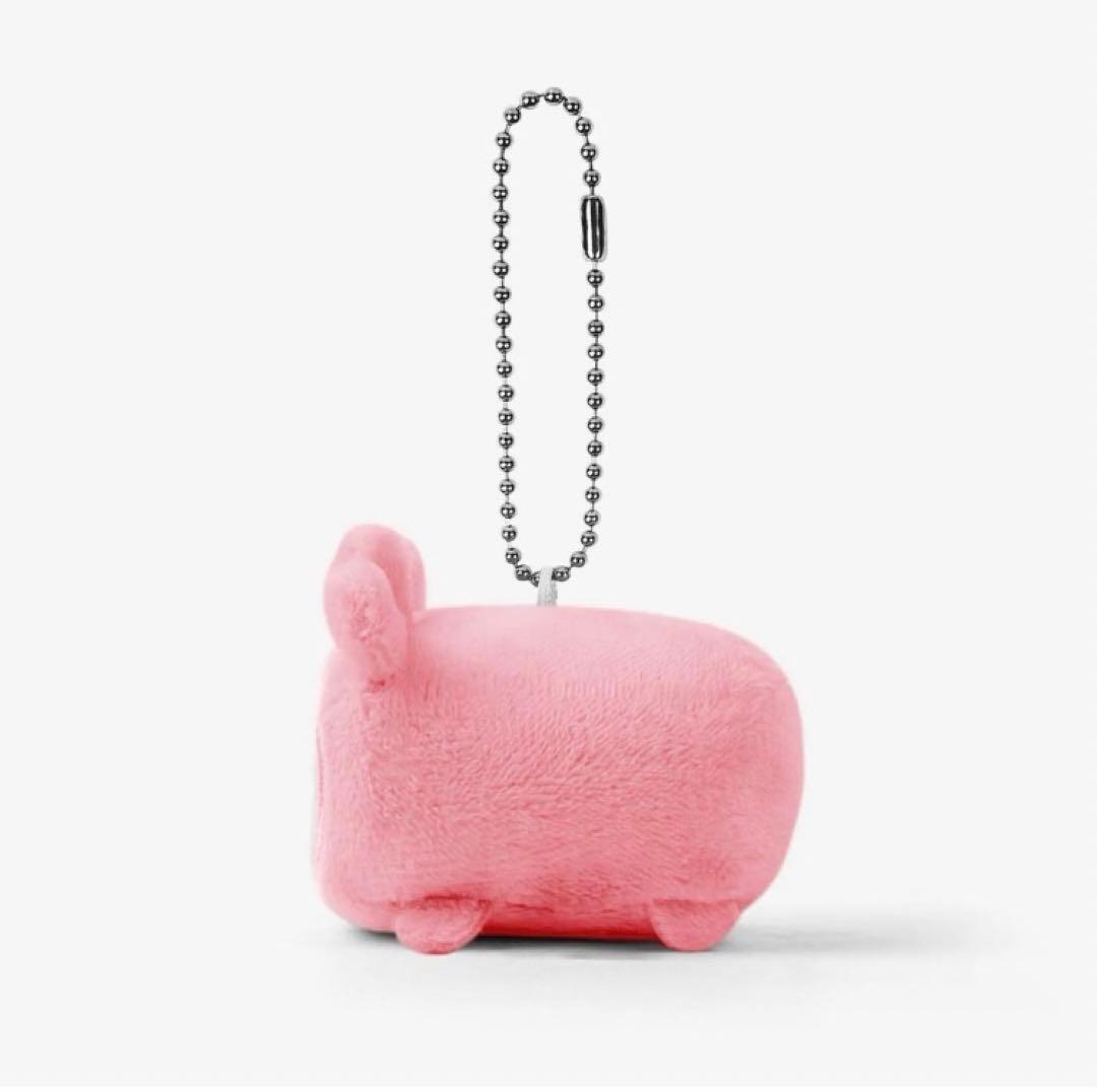 MISAMO HAUTE COUTURE くっつきチャーム モモ モブリー - メルカリ