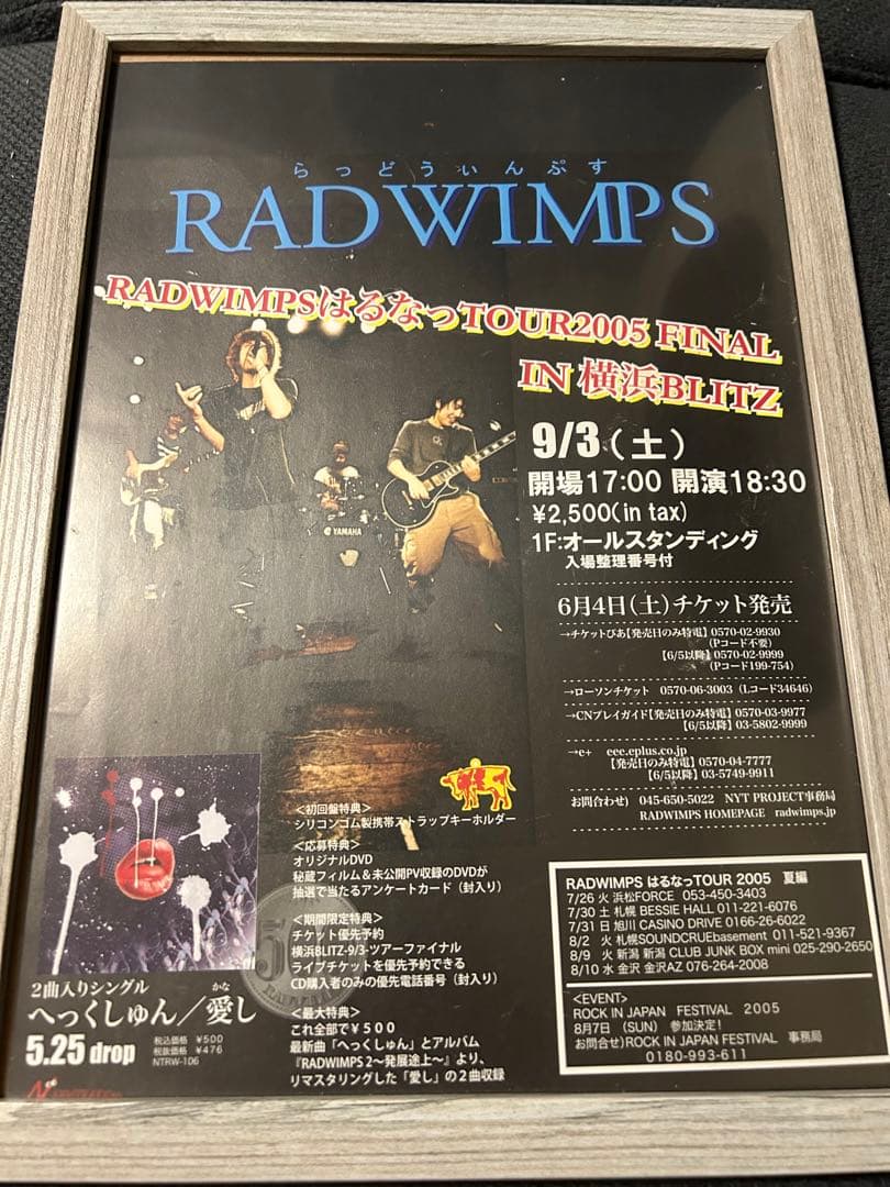 RADWIMPS 激レアフライヤー