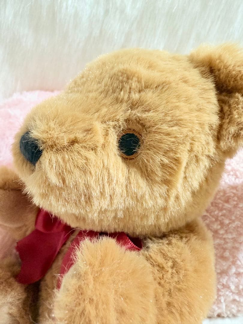 ☆メリーソート☆マイファーストメリーベア☆トフィー☆ウィッシュ