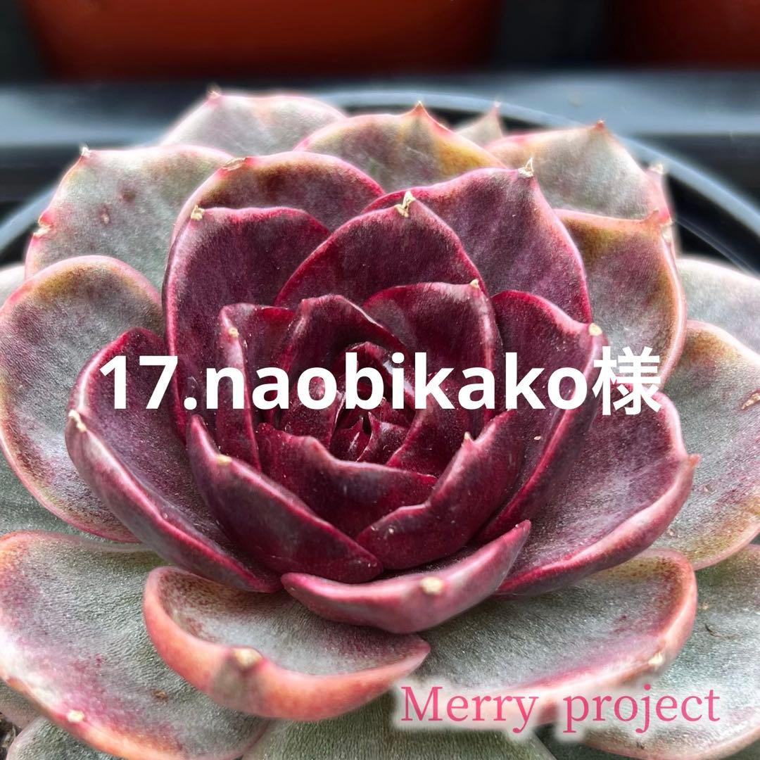17.naobikako様