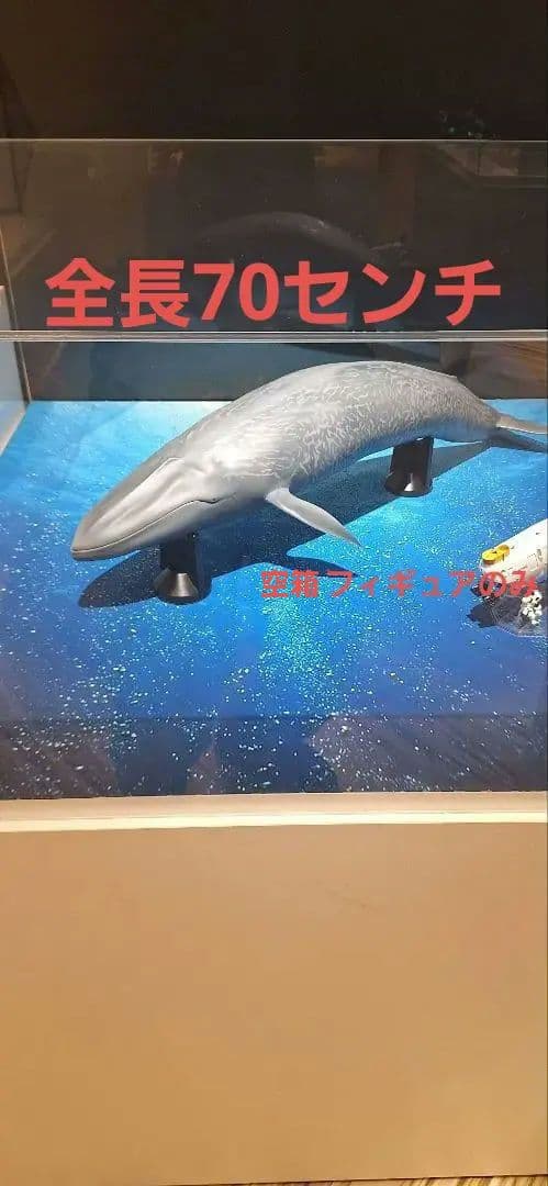 海洋堂 巨大フィギュア 全長70cm以上! シロナガスクジラ 海洋堂 巨大フィギュア 全長70cm以上! シロナガスクジラ - メルカリ