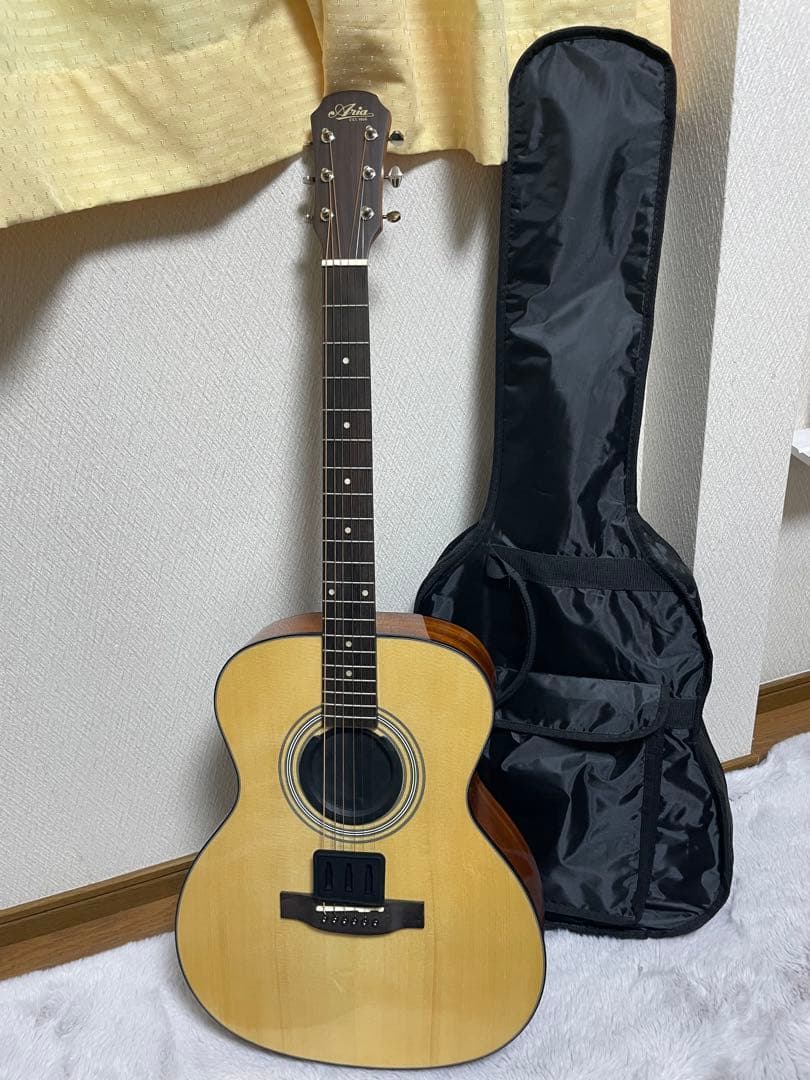 Aria アコースティックギター ARIA（アリア） アコースティックギター 初心者 セット 13点 Legend