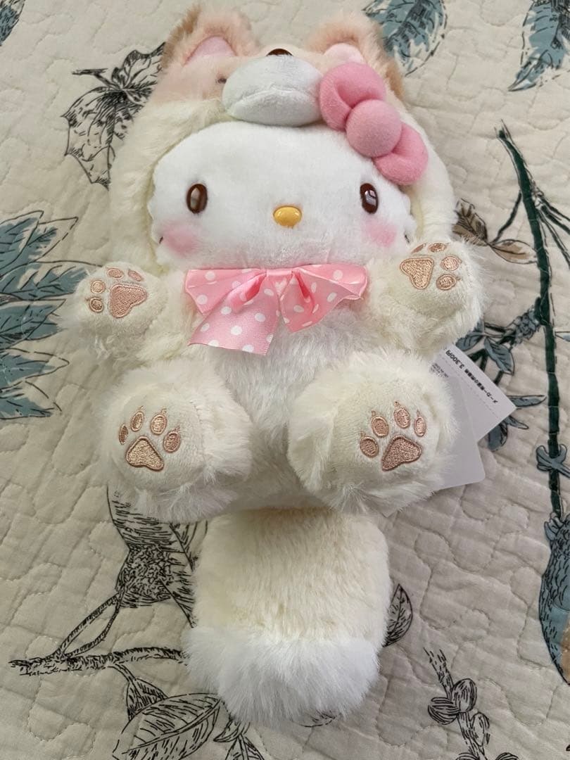 サンリオ 北海道限定 ぬいぐるみ 5種セット 2024年 キタキツネ