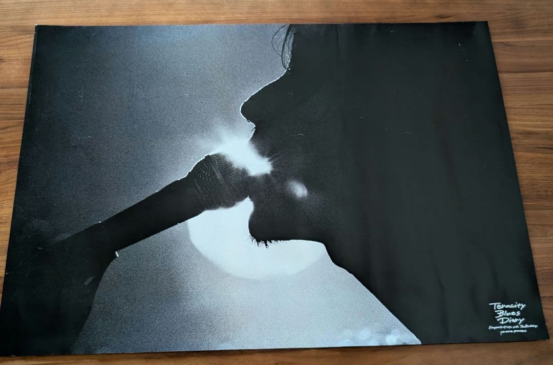 The Birthday チバユウスケ 写真集 B2ポスター Amazon.co.jp: The Birthday ポスター チバユウスケ : ホーム＆キッチン